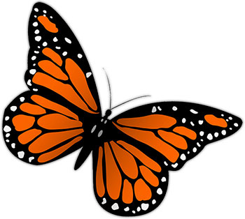 Free animated monarch butterfly clipart
