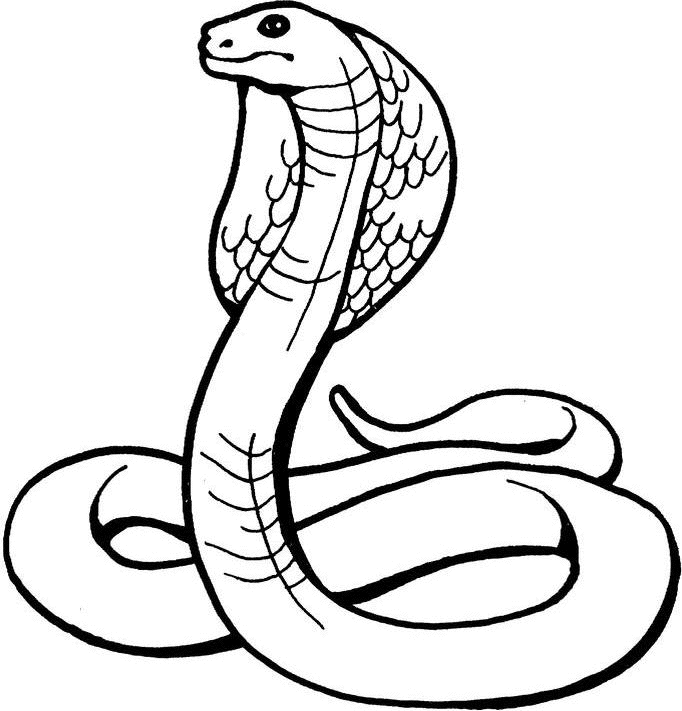 coloring pages draw a snake cobra coloring pages how to draw a ...