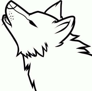 How to Draw a Howling Wolf Easy, Step by Step, forest animals ...