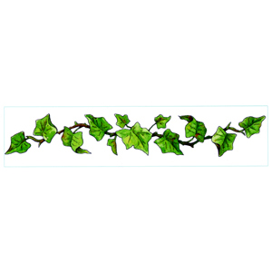 Ivy Leaf Border Clipart