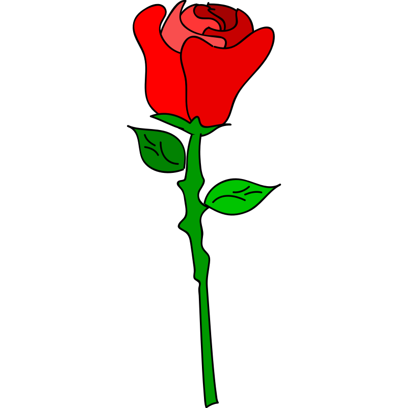 Cartoon Rose Pictures | Free Download Clip Art | Free Clip Art ...