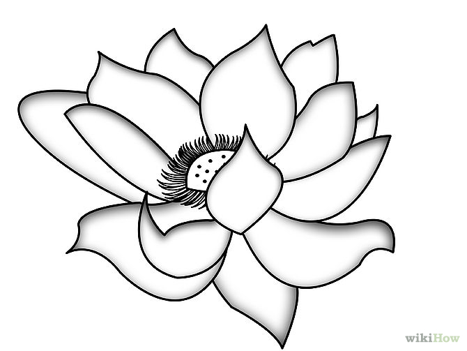 Draw Flowers Step By Step ClipArt Best
