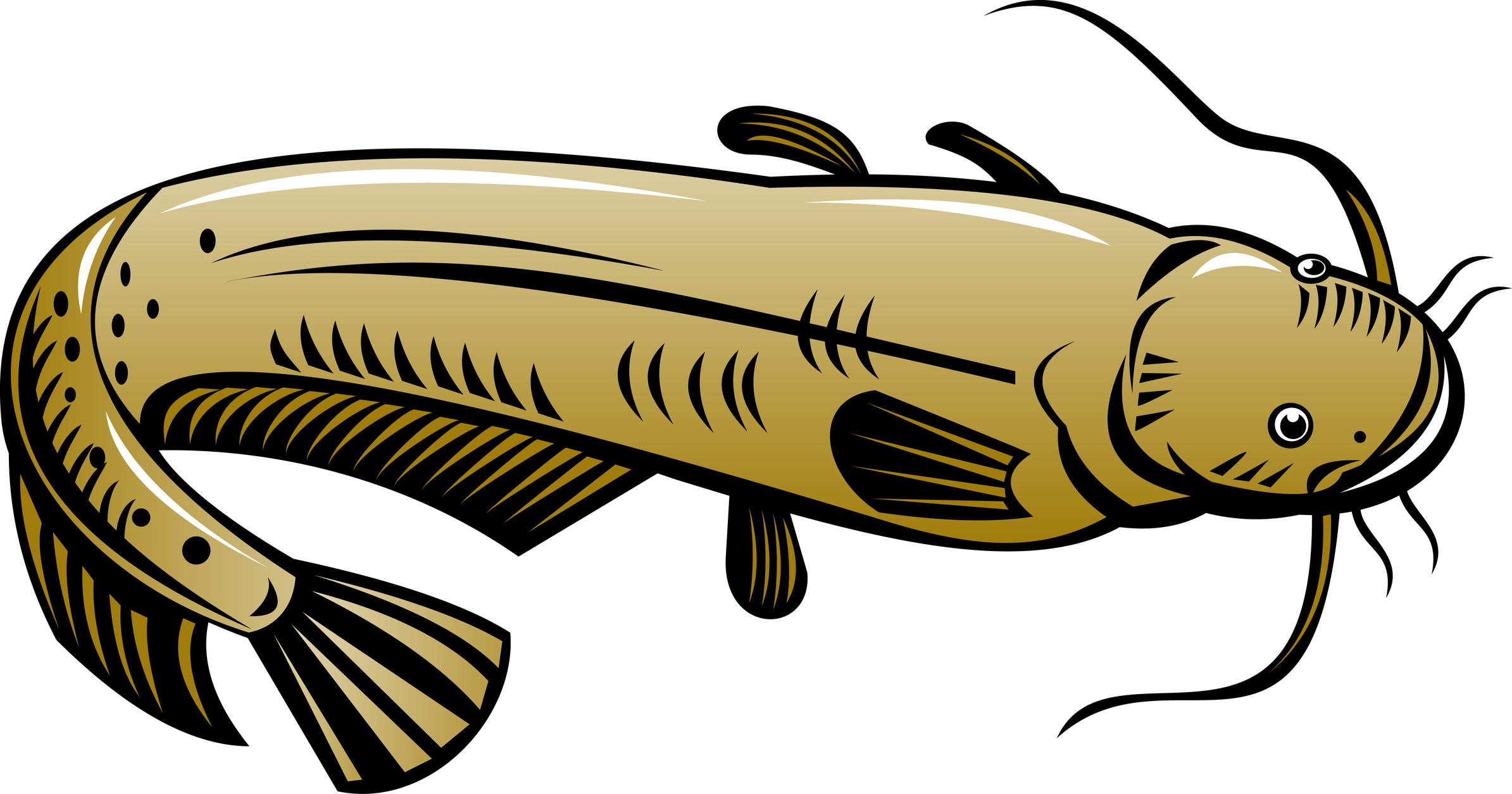 Catfish Tattoo ClipArt Best