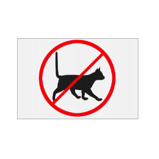 No Cats Allowed Gifts on Zazzle