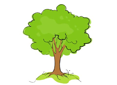 Tree Cartoon Clipart