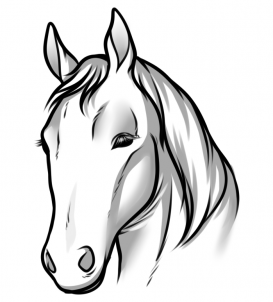 Draw Horse Heads and Faces, Step by Step, Pets, Animals, FREE ...