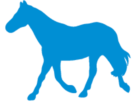 Horse - WikiVet English