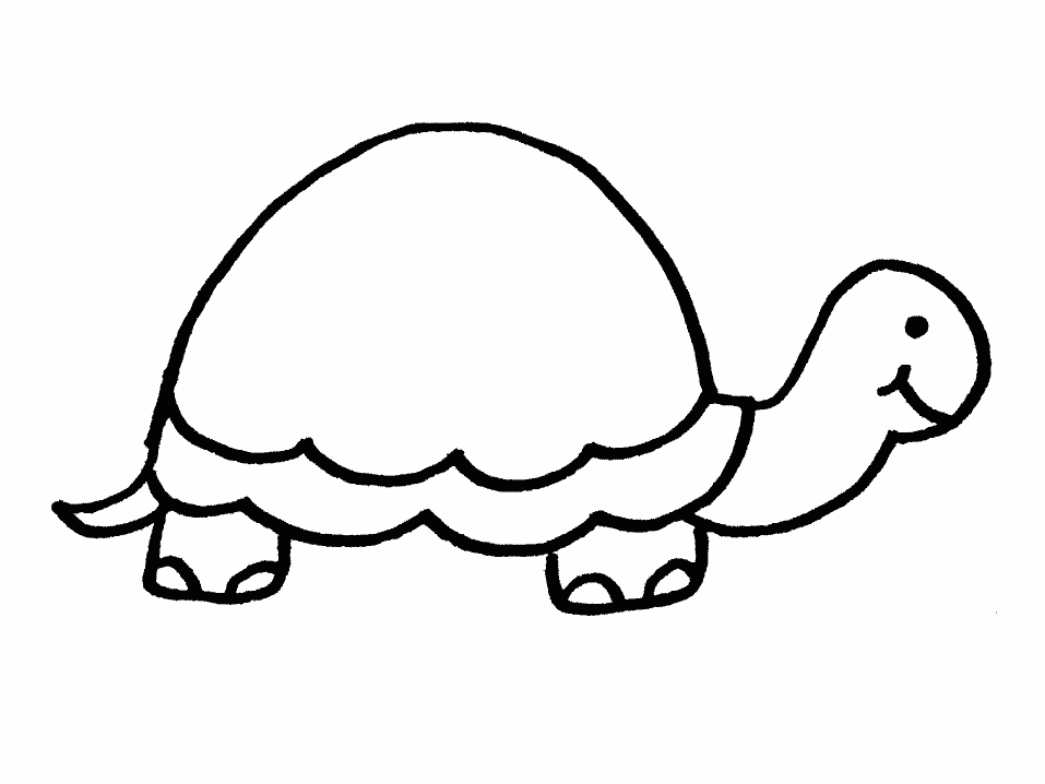Turtle Outline Template - ClipArt Best