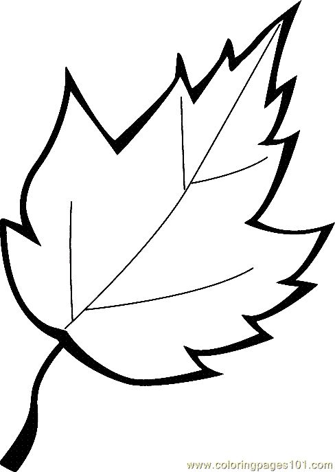 free printable coloring image Leaf Coloring Page 13 | Fall Time ...