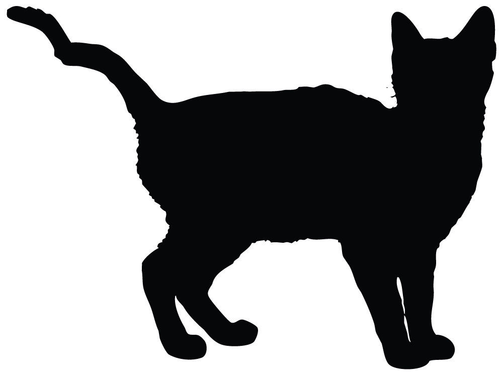 cat walking clip art - photo #44