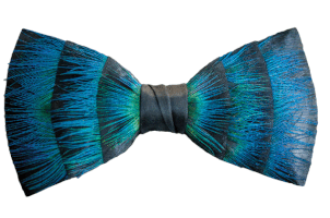 Bow Ties Are Cool GIFs - Find & Share on GIPHY