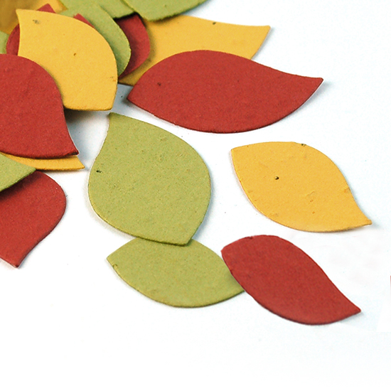 Autumn Leaf Eco Confetti | Plantable Eco Confetti | Catalog ...