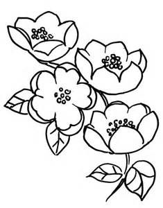Coloring Pages Apple blossom - Allcolored.com
