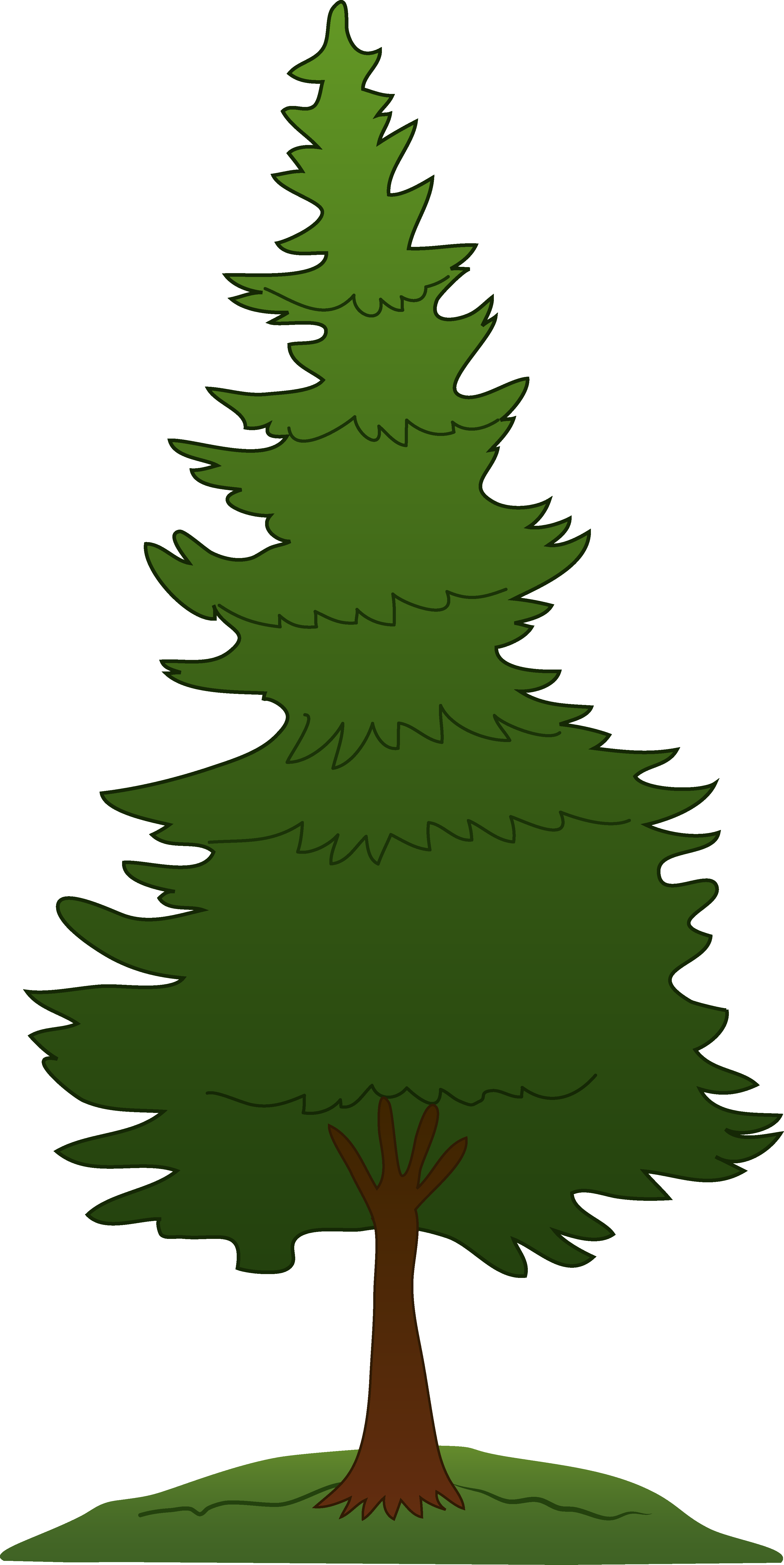 Pine tree clipart drawn