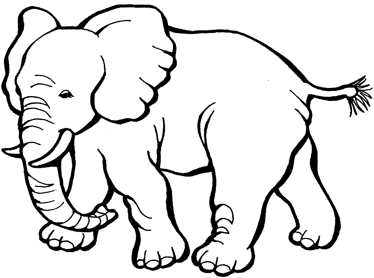 Free Elephant Clipart Image - 3554, Line Drawing Elephant ~ Free ...
