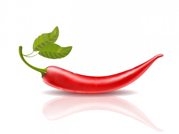 Realistic red chilli Vector | Free Download