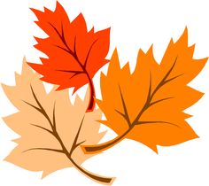 Autumn leaf clip art