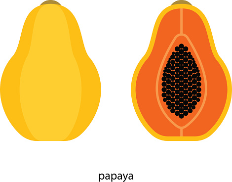 Papaya Clip Art, Vector Images & Illustrations