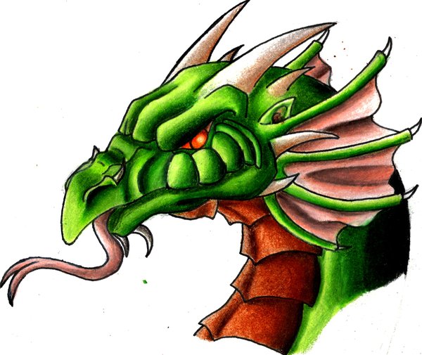 cartoon dragon head by Dragon2007 on DeviantArt
