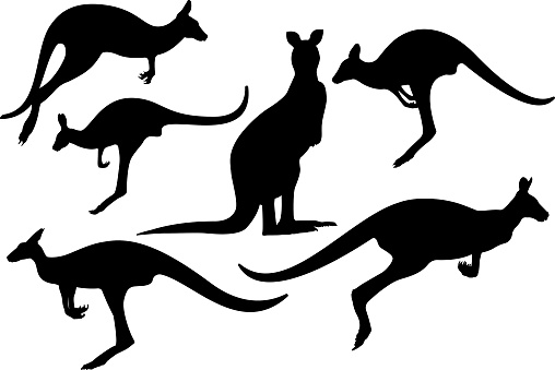 kangaroo drawings clip art - photo #42