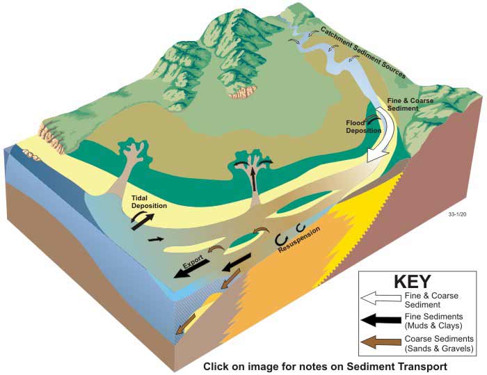 OzCoasts Conceptual model: Sediment transport in tide-dominated deltas