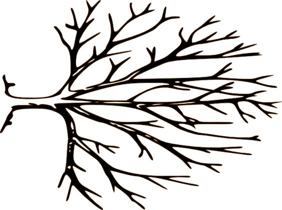 Tree with tree branches clipart - ClipartNinja
