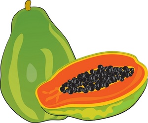Papaya Clipart Image - Colorful realistic papaya fruit drawing