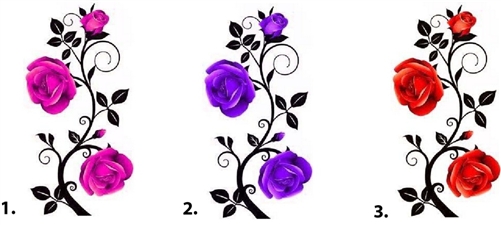 Pictures Of Roses With Vines | Free Download Clip Art | Free Clip ...