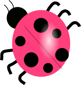 Pink Ladybug clip art - vector clip art online, royalty free ...