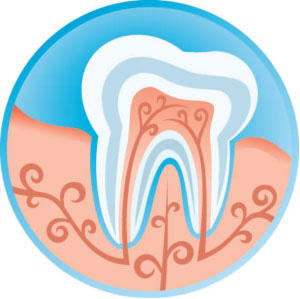 Sunrise Family Dentistry | Oral Hygiene | Hygienist | Teeth Cleaning