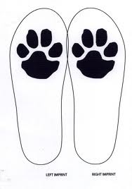 Cougar Paw Print Shoe Soles - JR