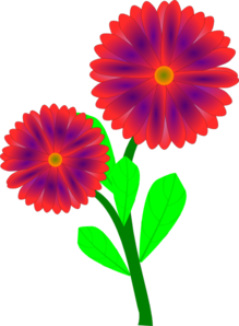 flowers-md.png
