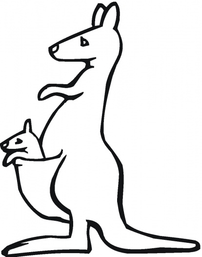 kangaroo drawings clip art - photo #20