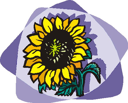Clip Art - Clip art sunflower 725241