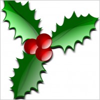 872 views christmas_003_55527.jpg