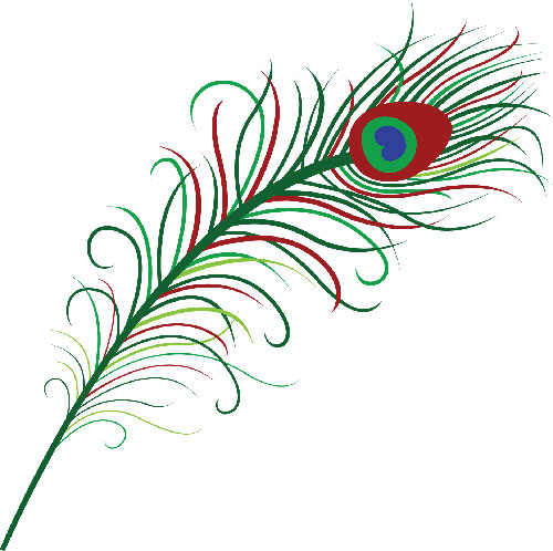 Colourful Peacock Feather free vector drawing design for free ...