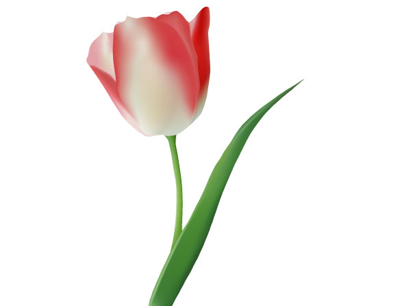 Flower Vector Graphics Free Download - ClipArt Best
