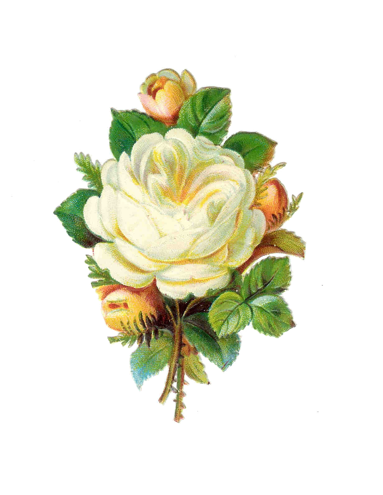 free clip art vintage flowers - photo #6