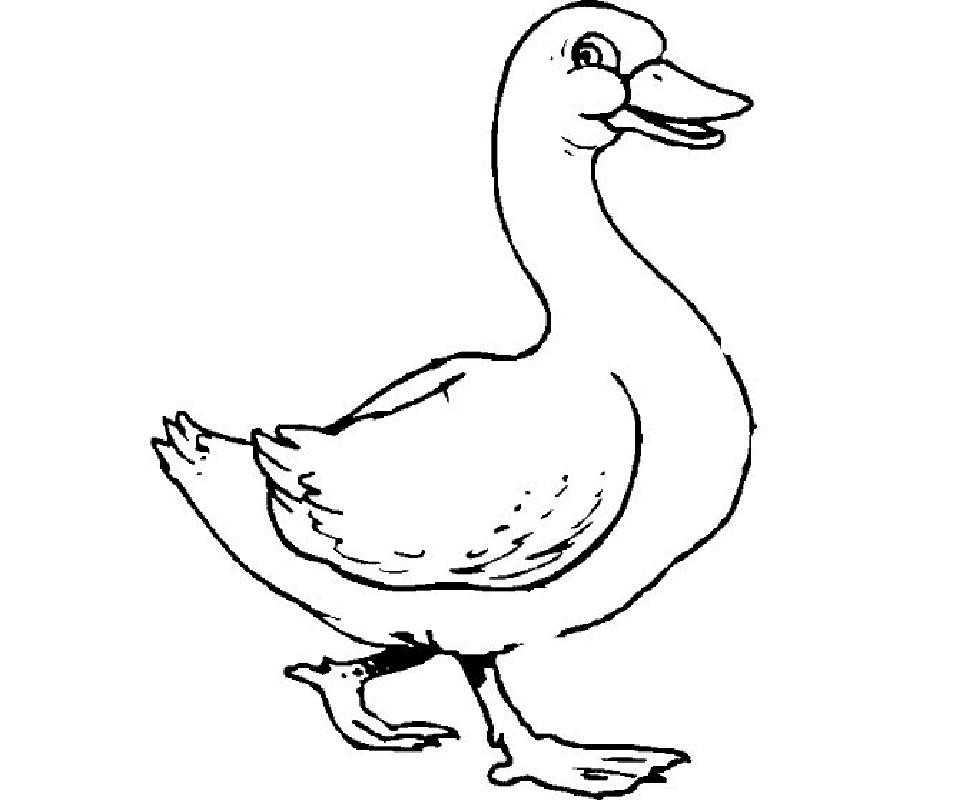 1,210 views Printable Duck Coloring Pages | Free coloring pages for kids