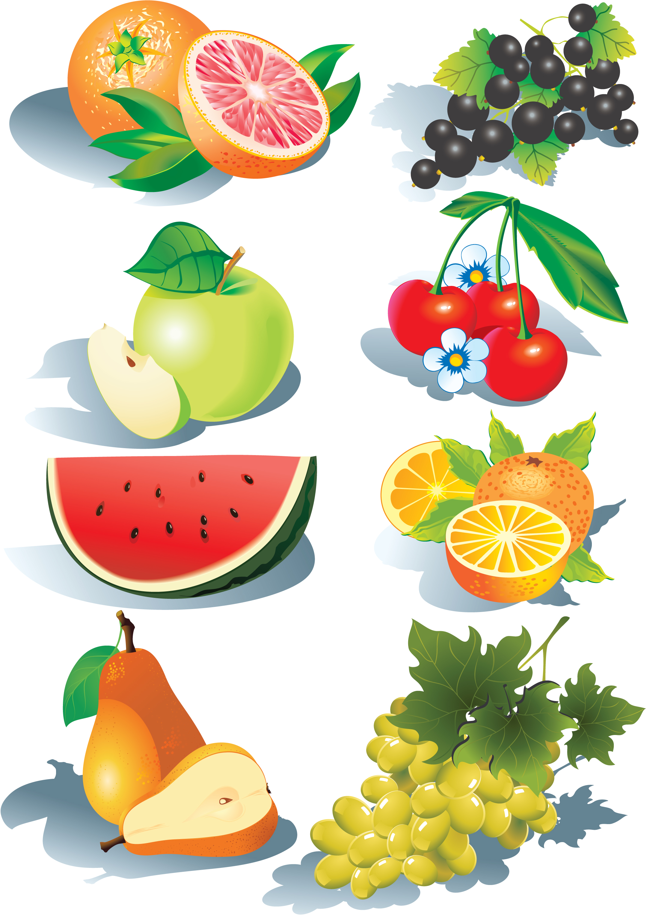 Vector Fruit / Fruit Free Vectors Download / 4Vector