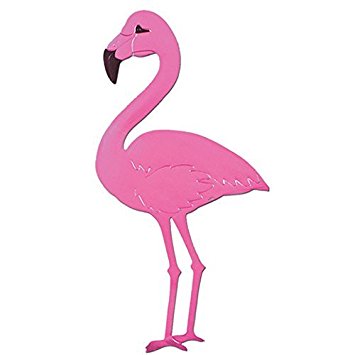 Amazon.com : Flamingo Cutout : Baby