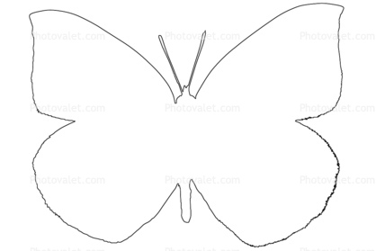 Best Butterfly Outline #1179 - Clipartion.com