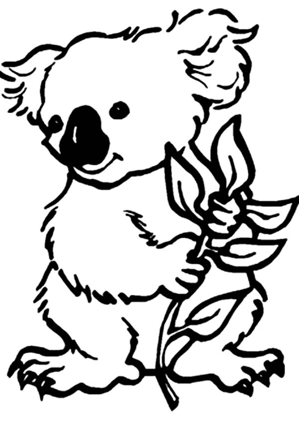 77 dibujos de Koalas para colorear | Oh Kids | Page 8 - ClipArt Best -  ClipArt Best