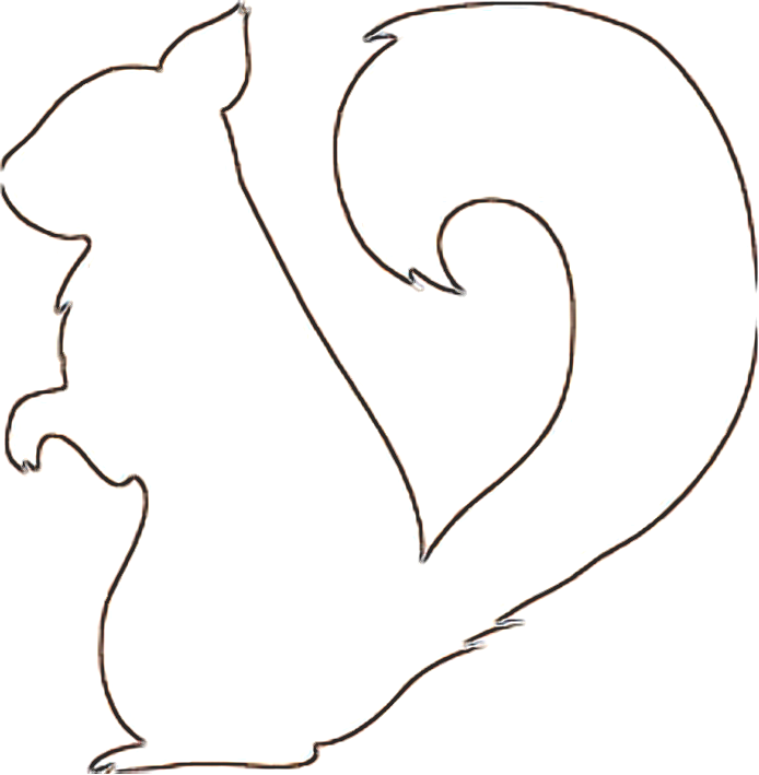 Squirrel Cut Out Pattern ClipArt Best