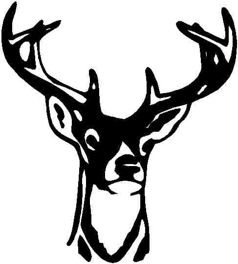 free mule deer clip art - photo #47