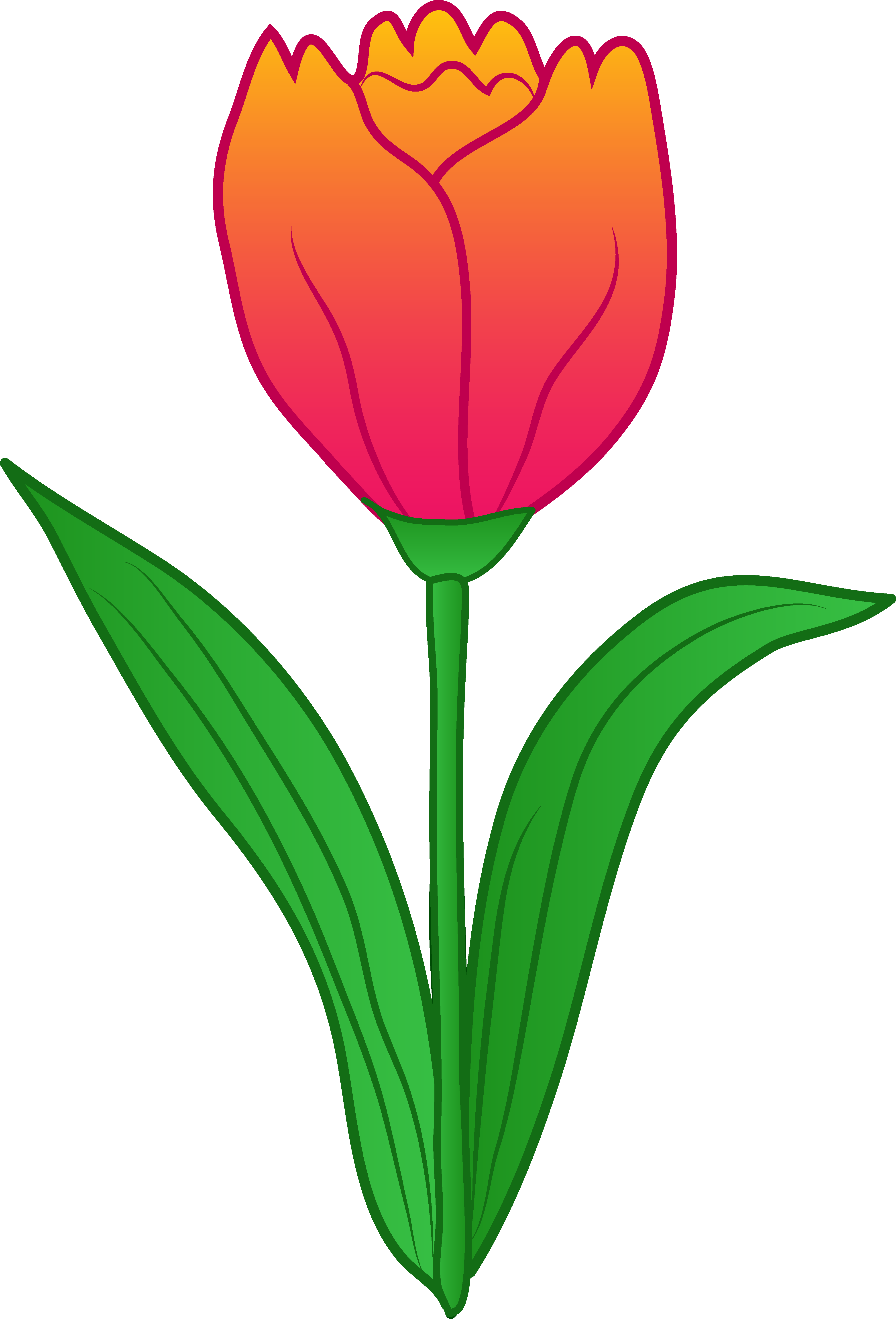 Tulip Flower Clip Art Free - Free Clipart Images