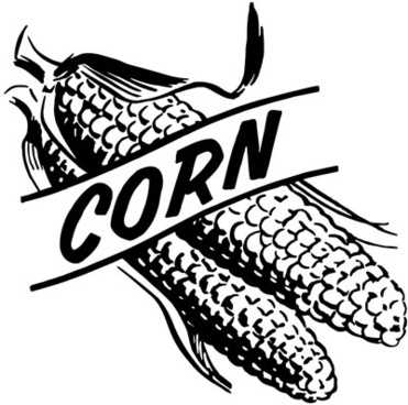 Corn free vector download (109 Free vector) for commercial use ...