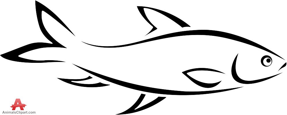 Freshwater fish clipart outline