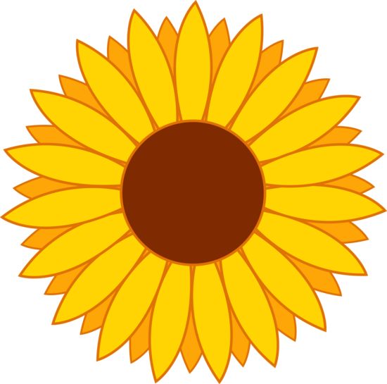 1000+ images about Sunflowers