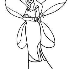 ELVE coloring pages - Elf portrait - ClipArt Best - ClipArt Best